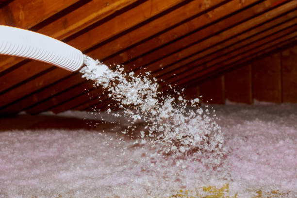 Best Blown-in Insulation in East Highland Park, VA