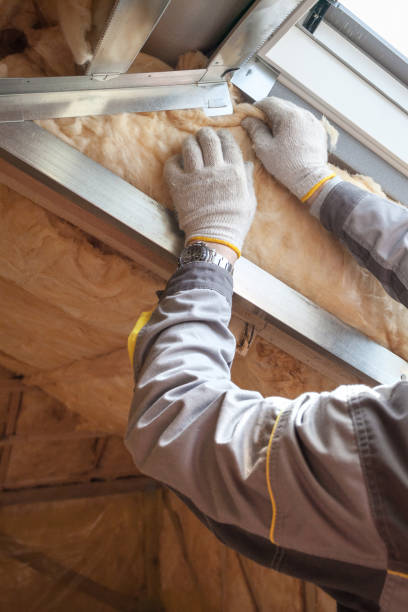 Best Blown-in Insulation in East Highland Park, VA