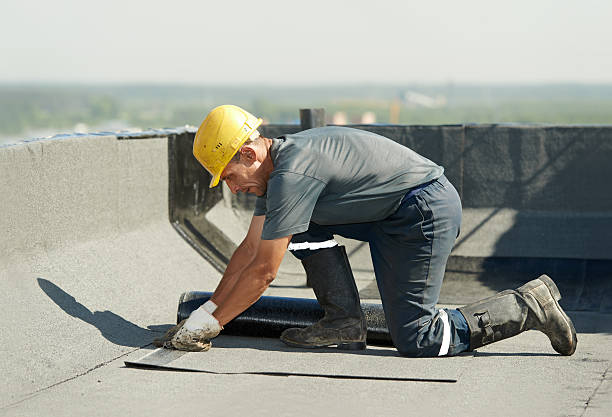 Types of Insulation We Offer in East Highland Park, VA