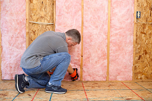 Best Commercial Insulation in East Highland Park, VA