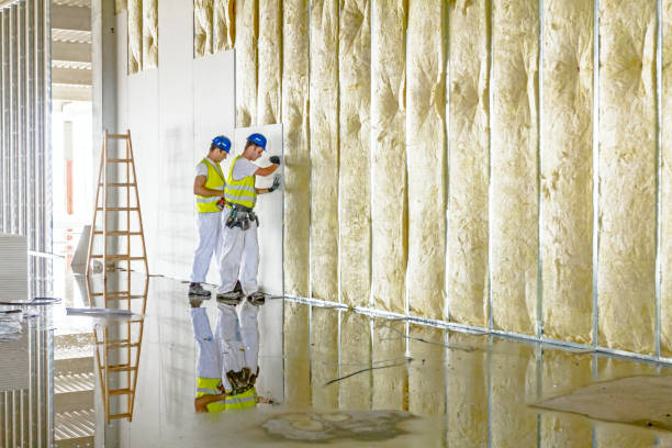 Best Eco-Friendly Insulation in East Highland Park, VA